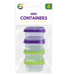 4pc Mini Containers