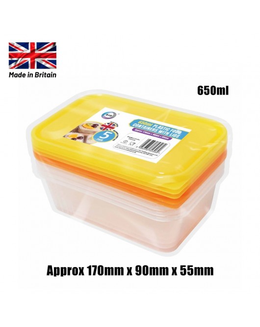 5pc 650ml Plastic Containers with Lids