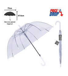 Kid's Clear Dome Umbrella